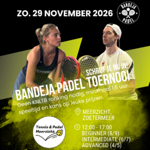 Toernooi Meerzicht - Zoetermeer - 29 november